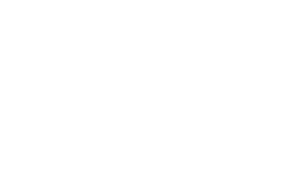 MMT logo
